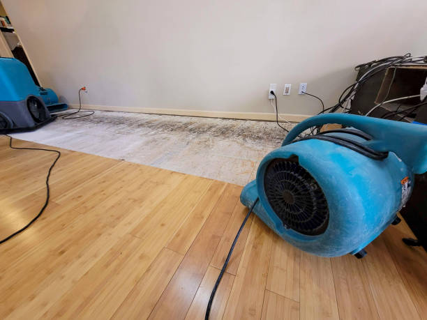Professional Sewage Cleanup technician working in Montebello, NY